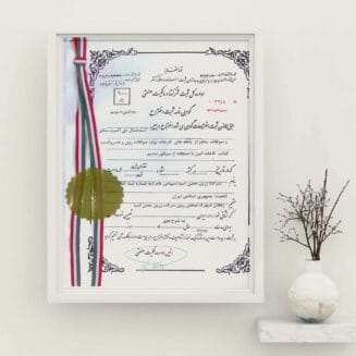 فزرین